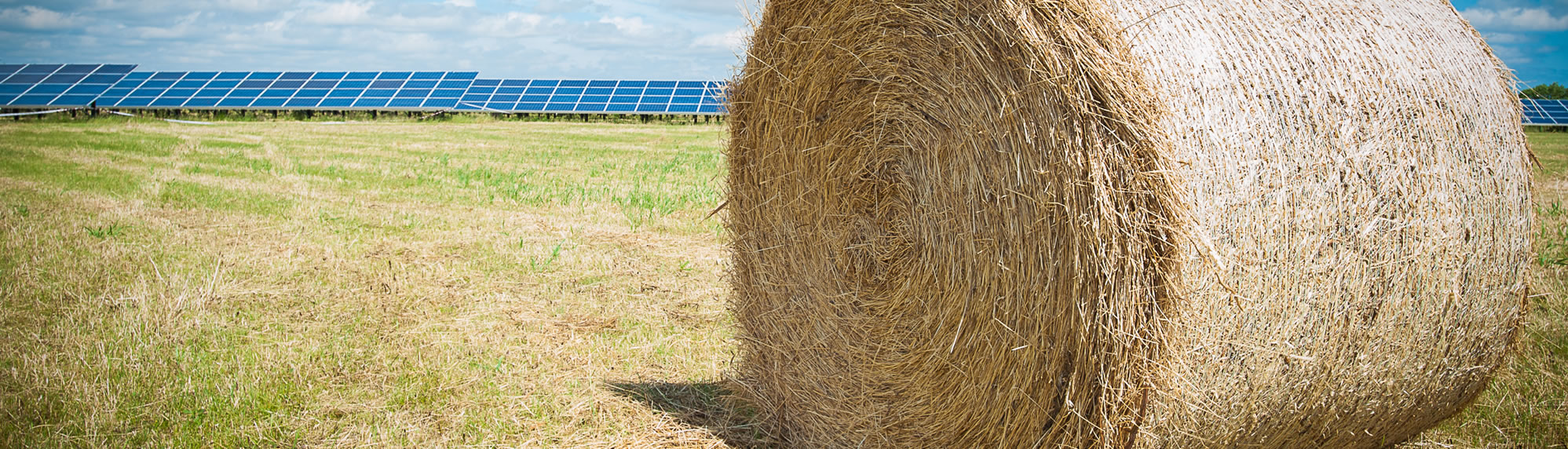 Image of Solar Panels