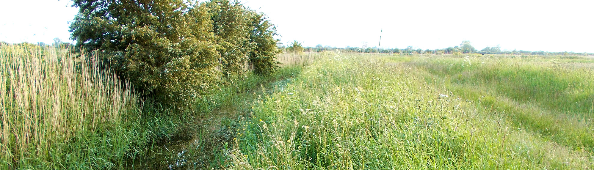 Image of countryside